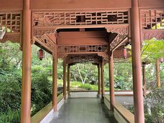 -杭州半山国家森林公园