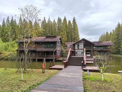 -黄海国家森林公园