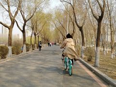 -丁香湖公园
