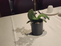 -金河半岛园林酒家(金融城店)