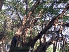 iphone_upload_pic-乌山风景区