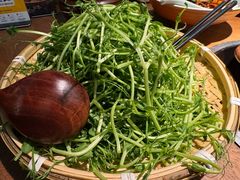 泉水肉丸子嫩豆苗-吃饭皇帝大(长宁龙之梦店)