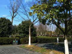 -白塘生态植物园