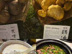 -滇野云南野生菌餐厅(陕西南路店)