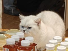 -龙湖杭州滨江天街