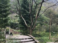 -黄公望隐居地