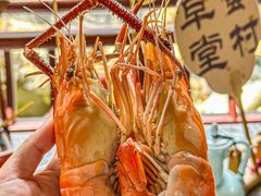 -蟹村草堂·苏式园林人文农家·大闸蟹