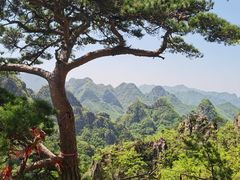 -大连天门山国家森林公园