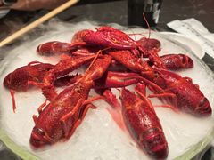 -红盔甲·小龙虾(人民广场店)