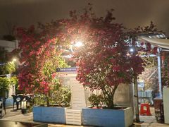 -马大胡子清真西北菜