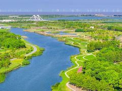 -春花秋色城市公园