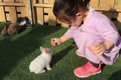 -萌宠亲子动物乐园(槐房万达店)