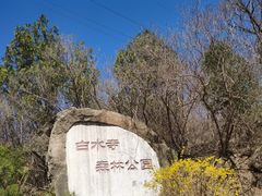 -白水寺森林公园