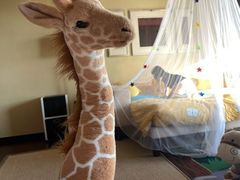 -海南清水湾莱佛士酒店