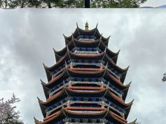 -铁山坪森林公园