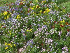 -苏州河梦清园环保主题公园