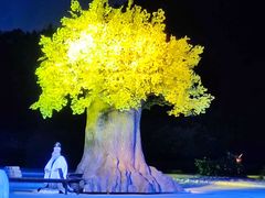 -鼎盛王朝康熙大典实景演出