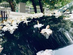 -全家便利店(中原二店)