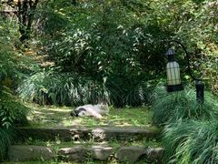 -法云安缦酒店