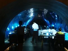 -海棠湾洲际-涛·海底餐厅·美人鱼·自助餐·海底隧道