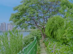 -金银湖国家城市湿地公园