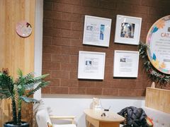 -藏猫猫咖啡主题馆(中央大道店)