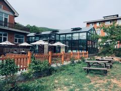-北马山庄植趣咖啡