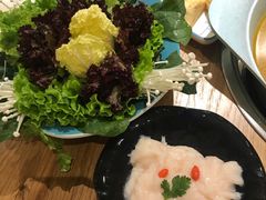 -青瓷火锅料理(西单大悦城店)