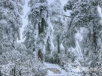 带着神兽大人一起去踏雪，早上6点起床，8点到达山顶