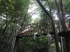 -石燕湖生态旅游景区