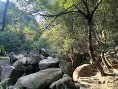 -广州白江湖森林公园