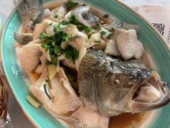 -大榕树下顺德菜(融创茂店)