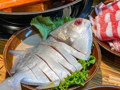 -阳阳老火锅(小南门店)