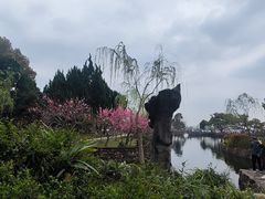 -无锡蠡湖国家湿地公园-蠡园