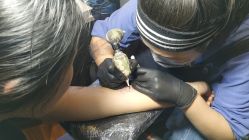 -飛凡TATTOO纹身•原创