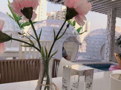 -天空花园餐吧·生日·团建(南山店)