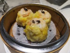 -糖朝(尖沙咀店)