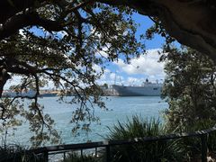 -麦考利夫人座椅