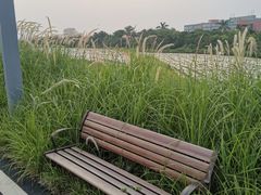 -光明小镇欢乐田园