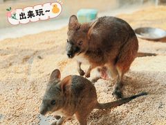 -海合安武汉极地海洋公园