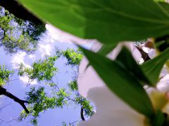 -黑龙江省森林植物园