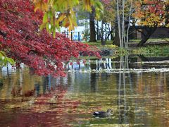 -北海道厅旧本厅舍(旧本庁舎)