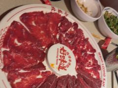 -小龙坎火锅(全球旗舰店)