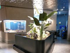-映像威海·威海宴(威高广场店)