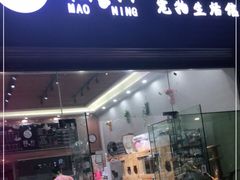 -集宠猫柠宠物生活馆