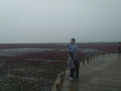 -红海滩国家风景廊道