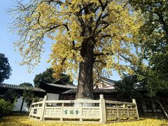 -常熟方塔园