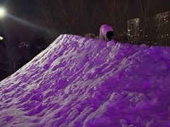 -沈阳奥体冰雪嘉年华