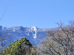 -崇圣寺三塔文化旅游区