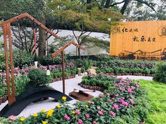 -汇龙潭